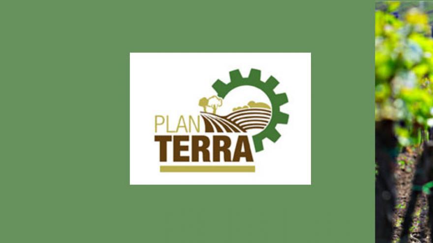 Imagen ilustrativa del Plan Terra: logo y viñedos