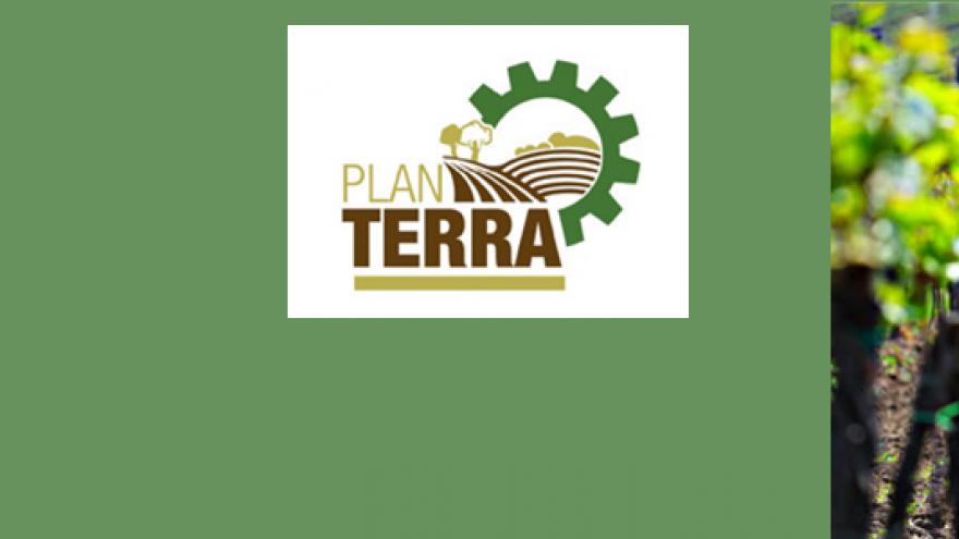 Imagen ilustrativa del Plan Terra: logo y viñedos