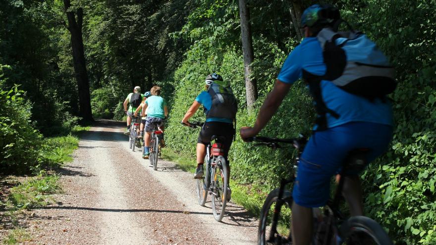 chicos en bicicleta por el campo