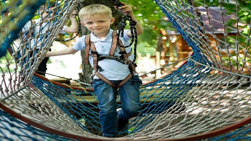 Niño pequeño dentro de un circuito de tirolinas