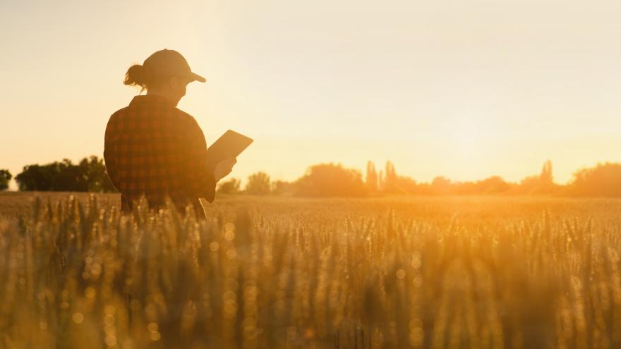 Mujer en un campo con un cuaderno en la mano