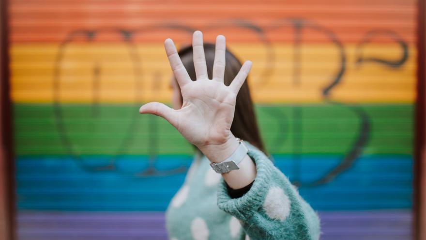 Colectivo LGTBI