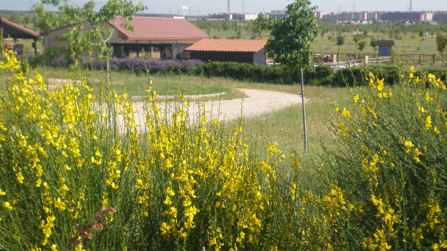 Vista del Centro de educación ambiental Bosque Sur