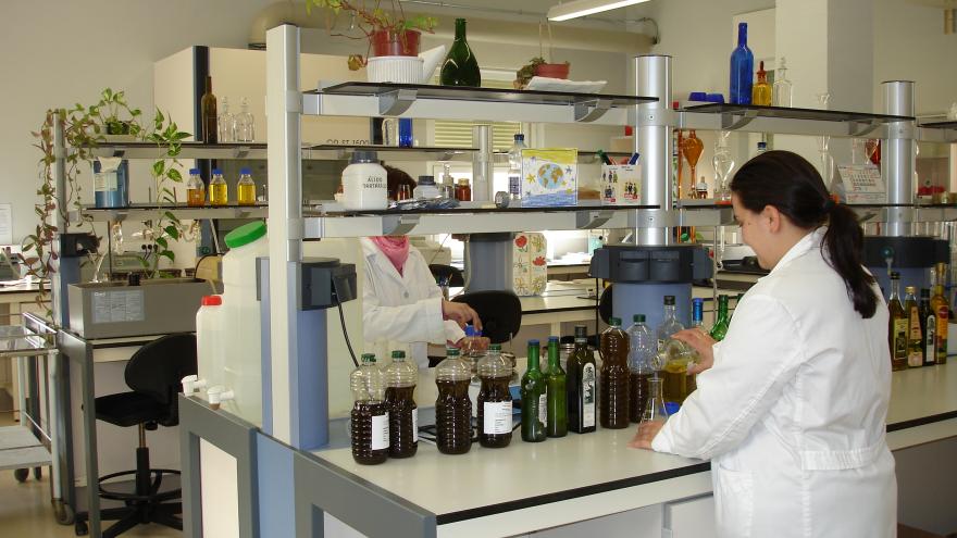 Workers in the agri-food laboratory