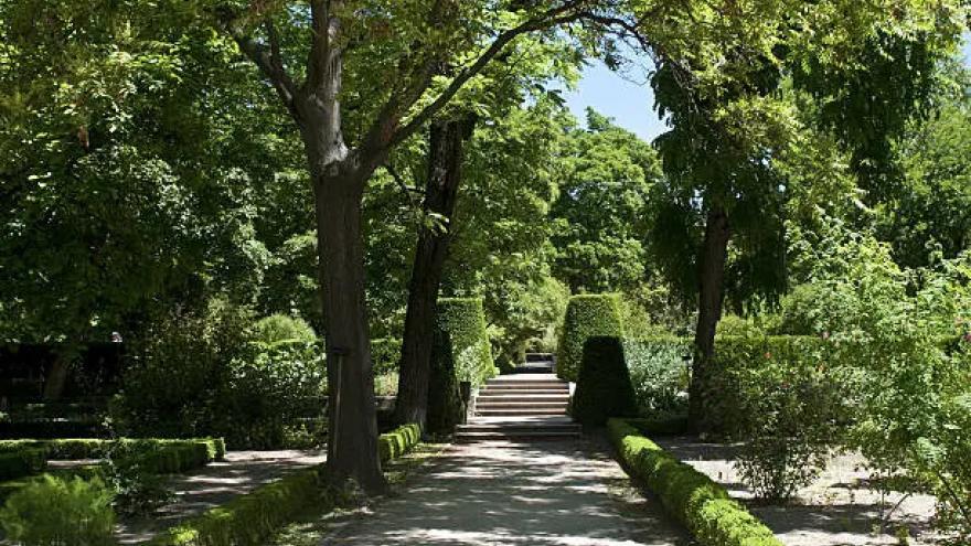 jardin_botanico