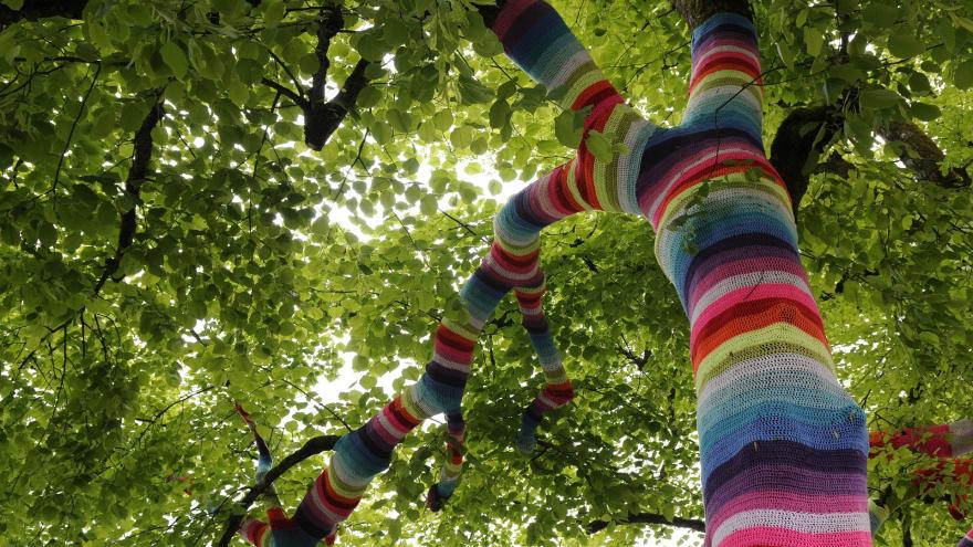 Árbol con tronco de colores