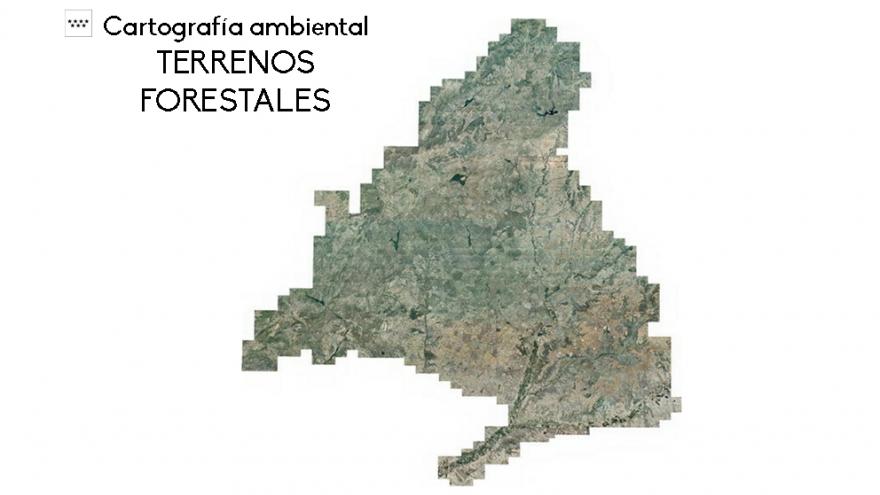 Mapa de Terrenos Forestales Mapa de Terrenos Forestales