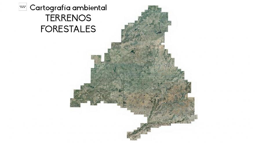 Mapa de Terrenos Forestales