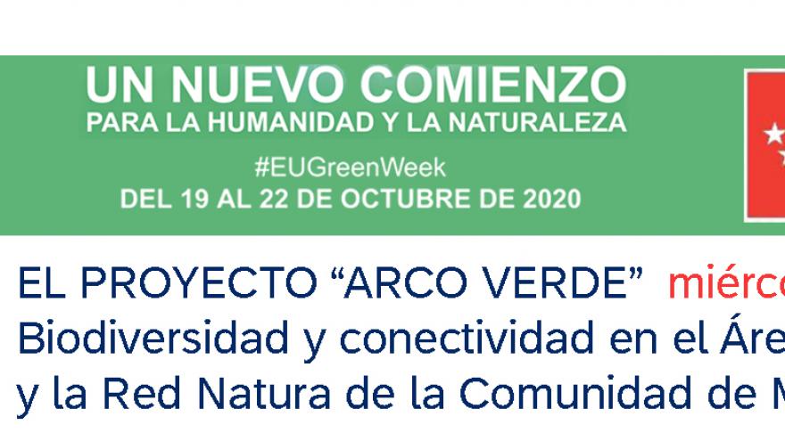 green week arco verde