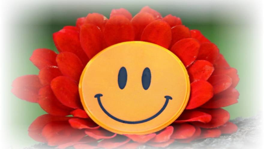 Flor tipo margarita con pétalos rojos y un emoticono de carita sonriente en el centro