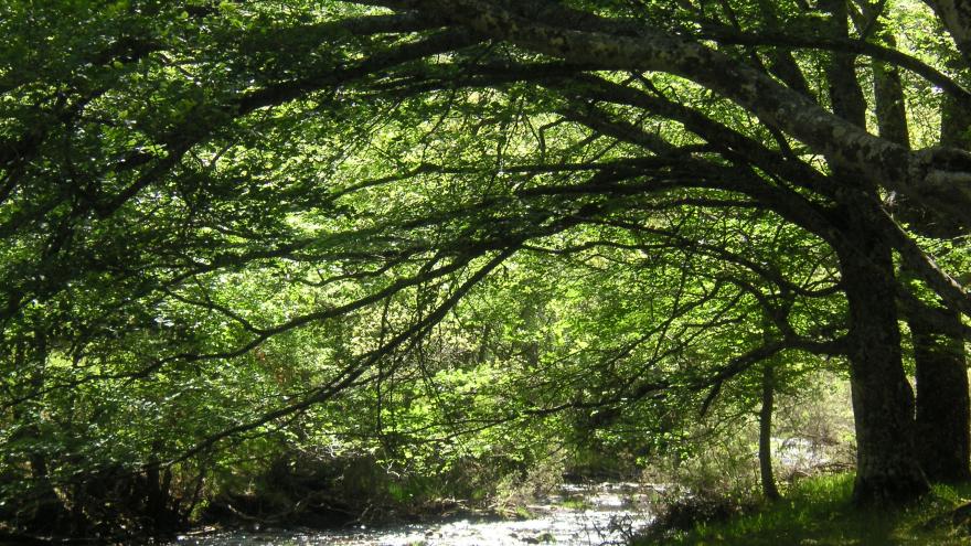 La Comunidad organiza numerosas actividades en septiembre en sus centros medioambientales