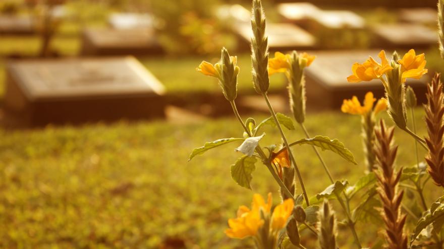 Cementerio tumbas flores