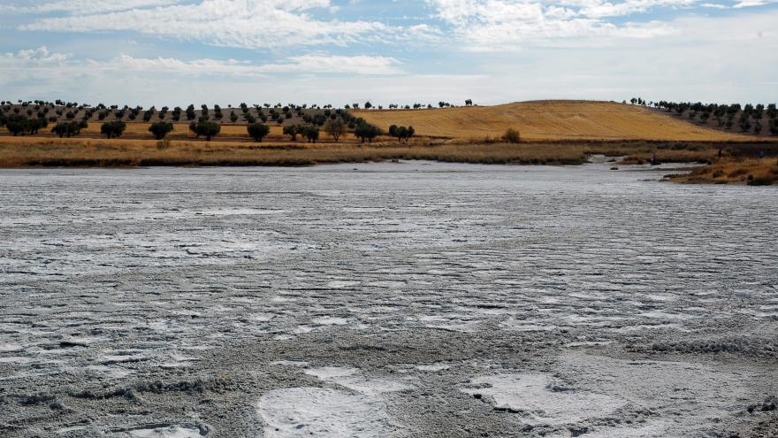 Humedales_Laguna de Las Esteras_Colmenar de Oreja