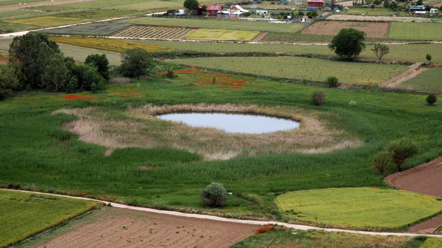 Humedales_Laguna de San Galindo_Chinchón