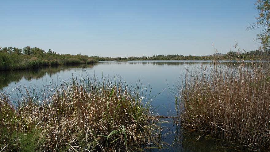 Humedales_Laguna del Soto de las Cuevas