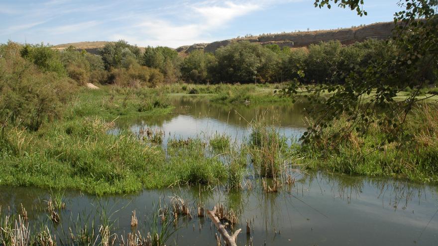 Humedales_Lagunas de Ciempozuelos_Ciempozuelos
