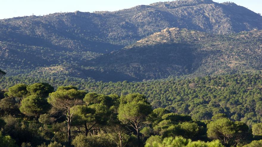 Cuerda de la Parada. Pelayos de la Presa