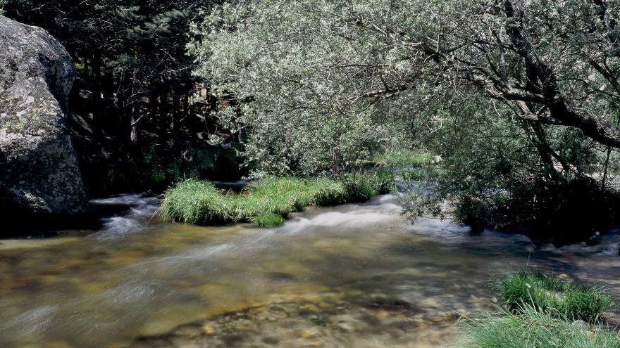 Río Manzanares en La Pedriza