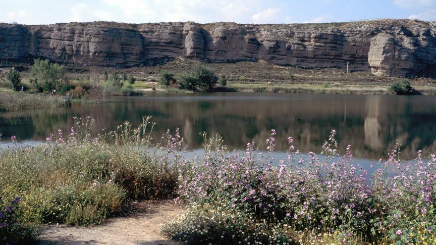 Parque Regional del Sureste