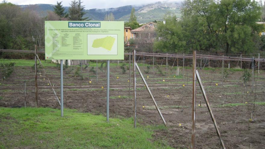 finca con cartel anunciando el vivero de El Escorial