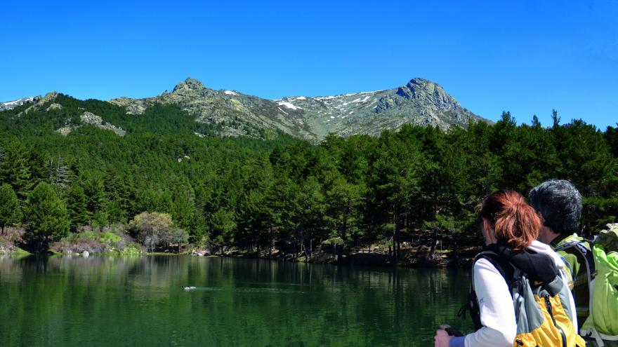 Desarrollamos un proyecto pionero para disminuir la huella de carbono en la Sierra de Guadarrama