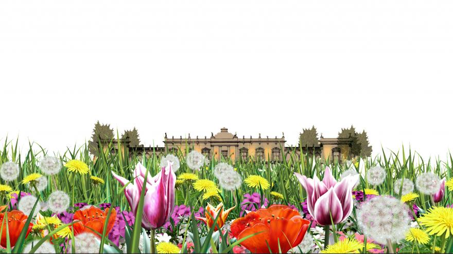El jardín de Vista Alegre 