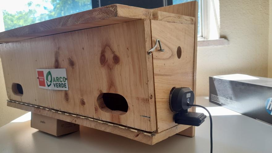 La Comunidad de Madrid instala 14 cajas nido en la Facultad de Veterinaria de la Complutense para proteger a una población de vencejos