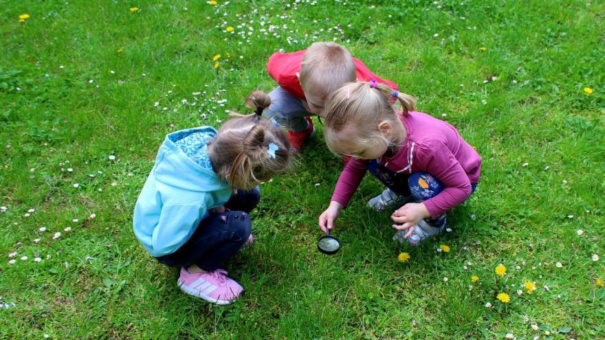 Niños lupa naturaleza Foto niños botánicos