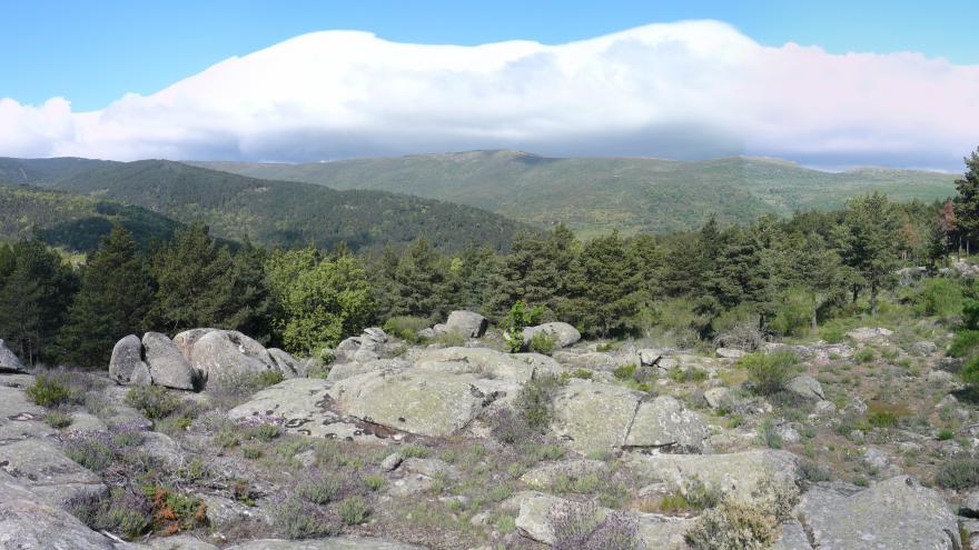 Imagen Puerto de Canencia