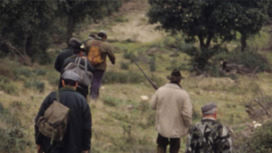 Información batidas de jabalí en montes públicos