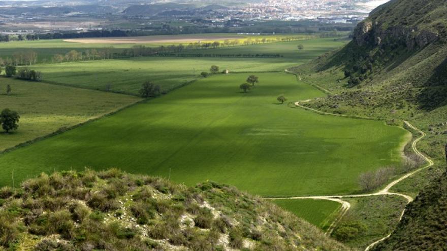 Vista panorámica