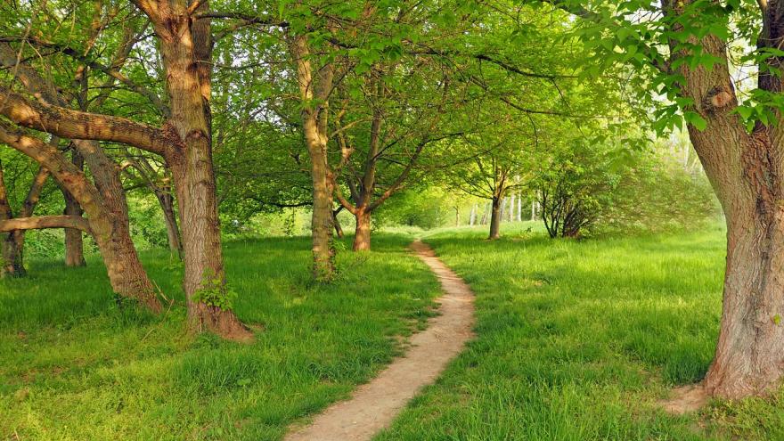 Fresnos camino