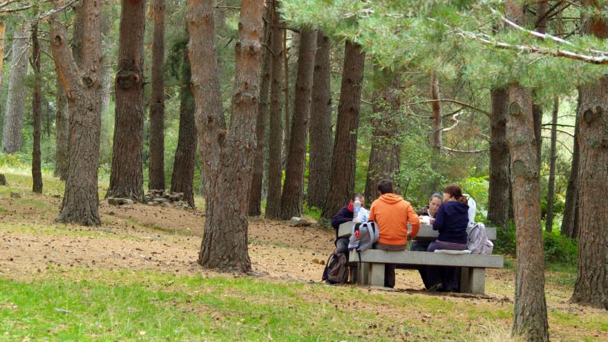 Grupo en área recreativa