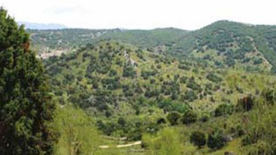 Vista desde la senda de Colmenarejo a Villanueva del Pardillo