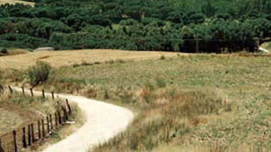 Paisaje de la Senda de Arroyomolinos a Móstoles y Loranca