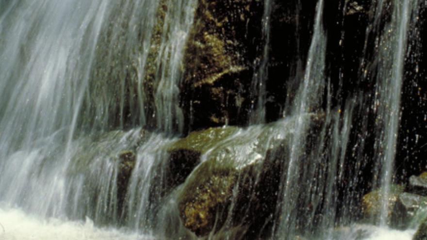 Senda Camino del Agua