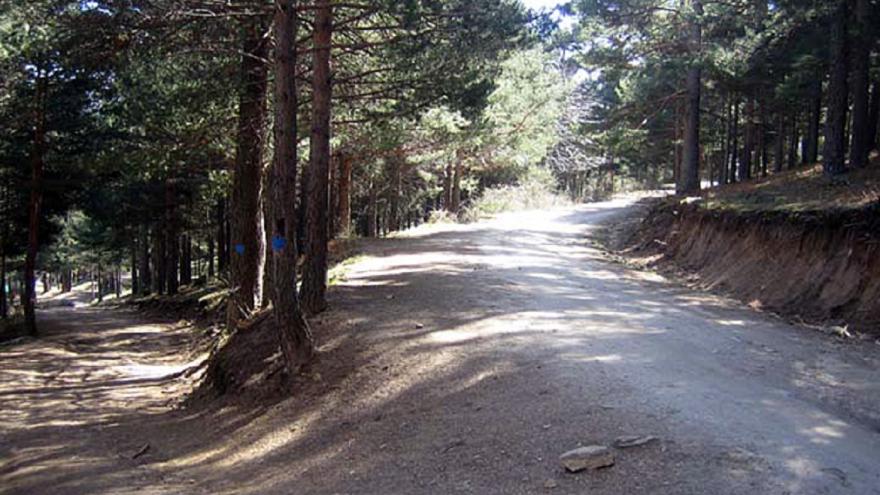 Foto camino Puricelli