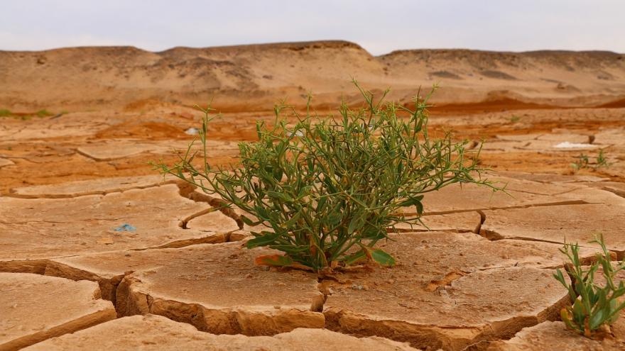 Foto cambio climático