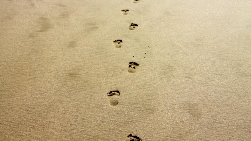 Huellas en la playa