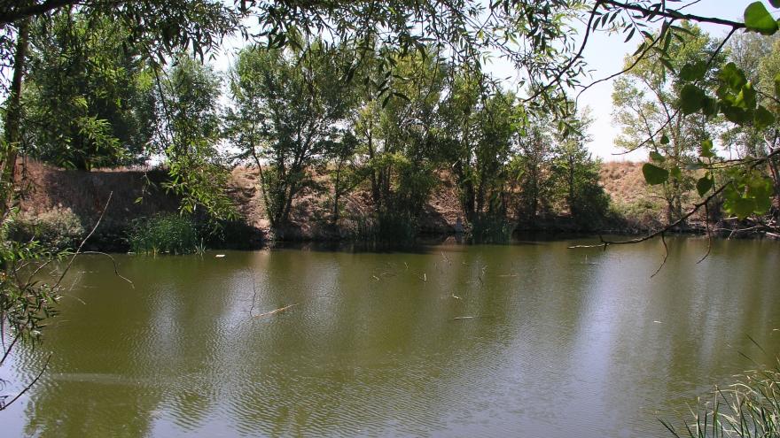 La Laguna de El Campillo y árboles