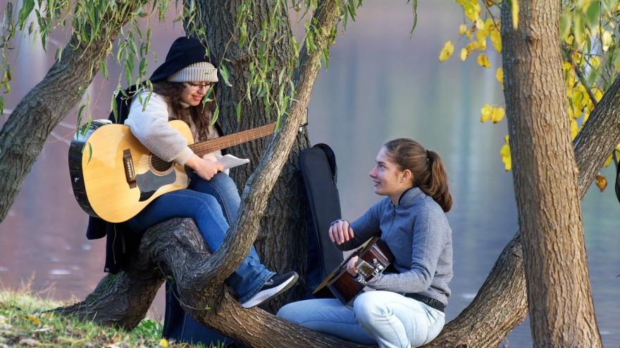 Foto música naturaleza