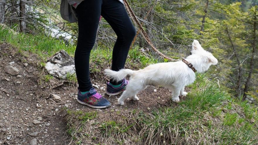 Una chica con un perro en la senda