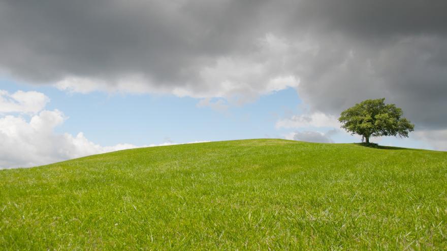 Campo con nubes al fondo de tormenta