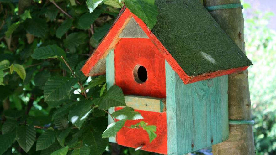 Caja nido rojo azul verde