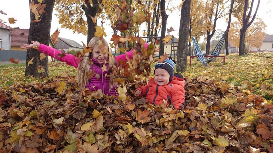 niños jugando con hojas caidas del árbol