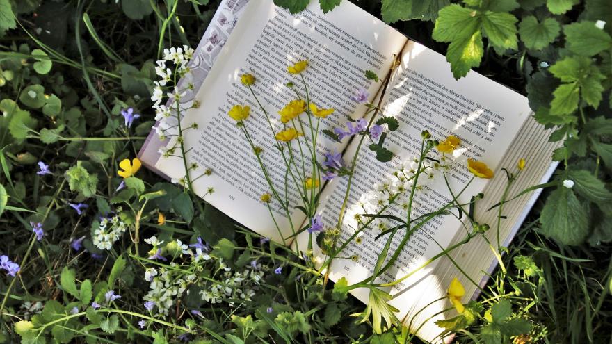 Un libro abierto sobre la hierba