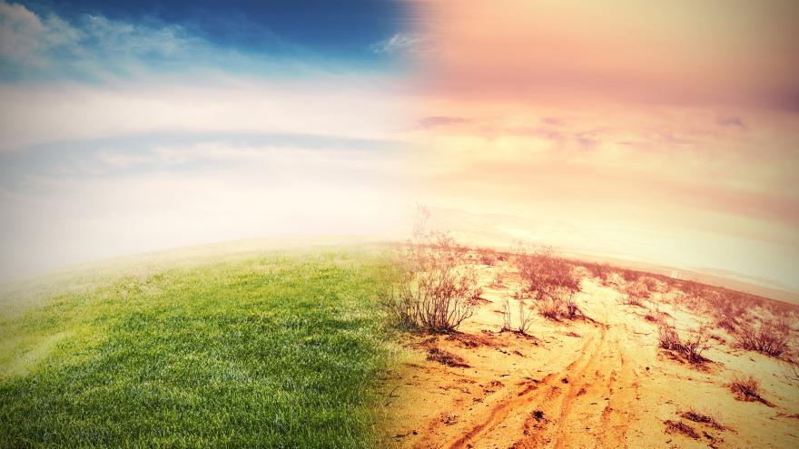 Una imagen icónica del planeta Tierra en la que la mitad del mismo está verde y la otra mitad desierto