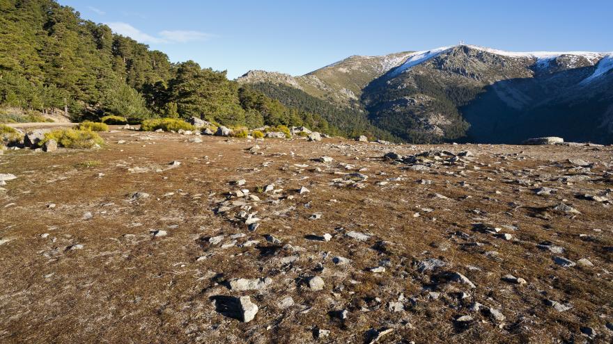 Sierra de Guadarrama