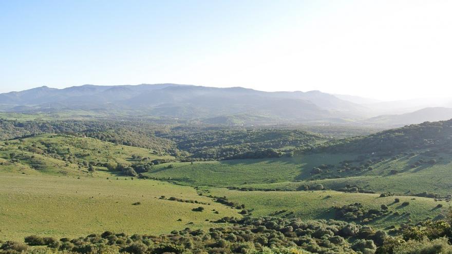 Cielo azul campo verde