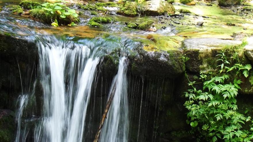 Foto presa